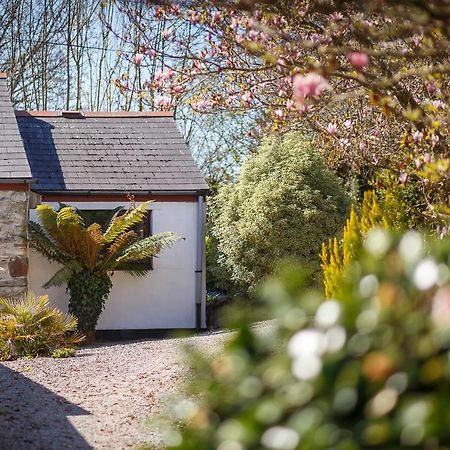 The Snug At Cornish Barn Holidays Truro Exterior foto