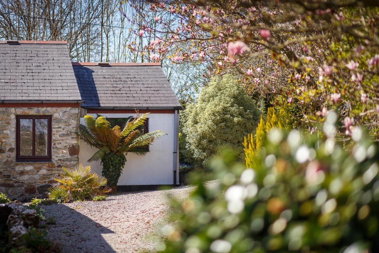 The Snug At Cornish Barn Holidays Truro Exterior foto
